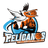 Pelícanos de Los Cabos