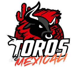 Logo de Toros