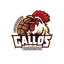 Gallos Aguascalientes