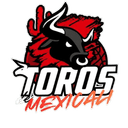 Toros